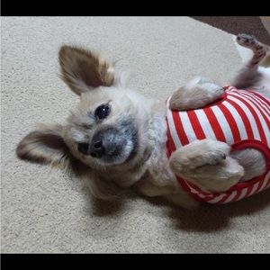 Meet your Posher, Wendy